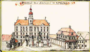 Prospect de Schlosses in Wohlau - Zamek, widok ogólny